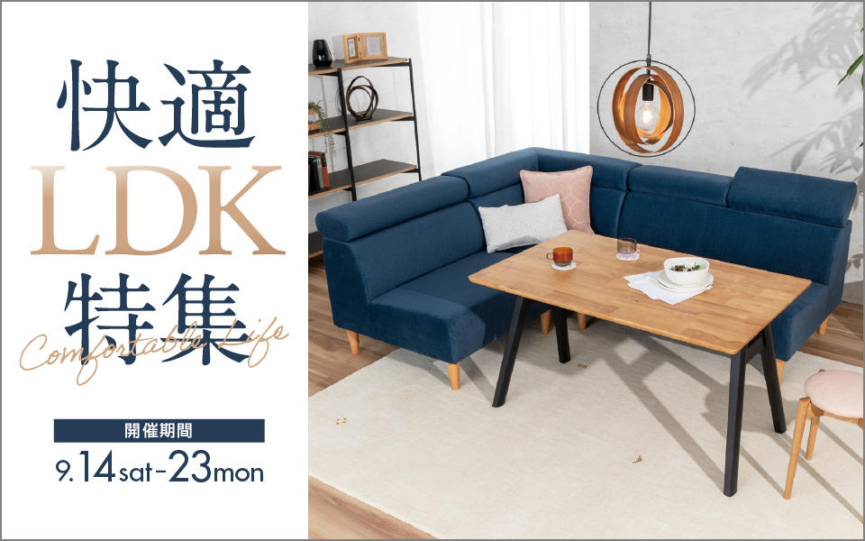 首都圏送無料〜IDEECollina2人掛ソファー&オットマン総40万インディゴ 永き